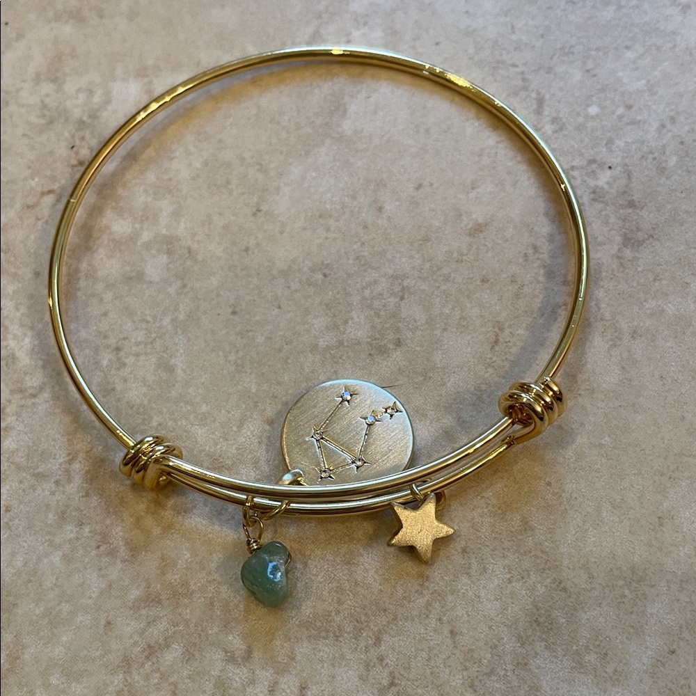 Francesca's Gold Zodiac Charm Bracelet